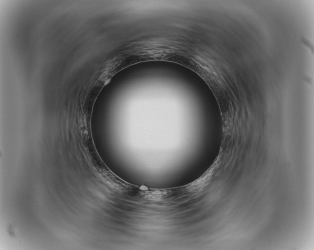 X0000096460182200802071842