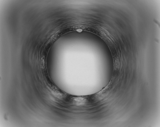 X0000096460183200802071842