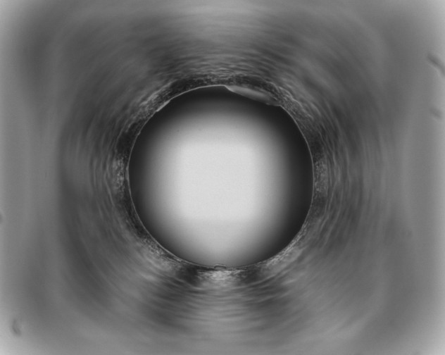 X0000096460184200802071842