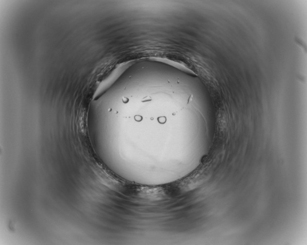 X0000096460185200802071842