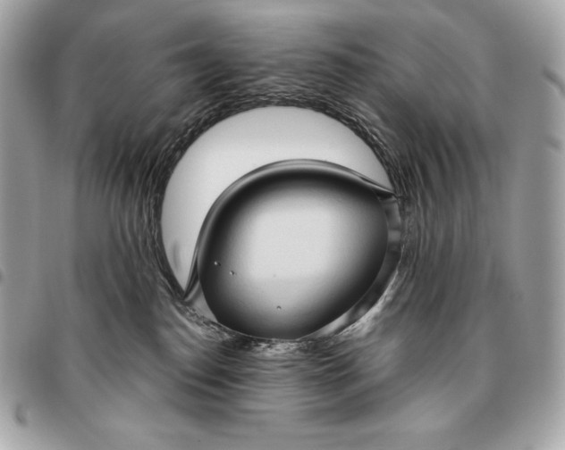 X0000096460186200802071842