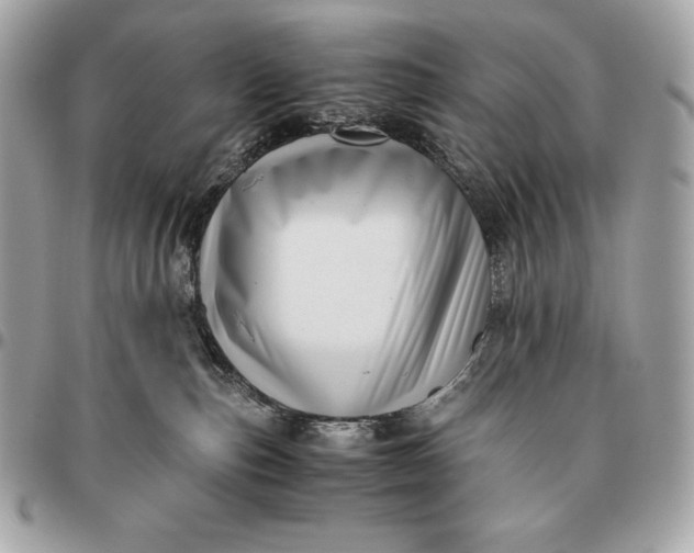 X0000096460187200802071842
