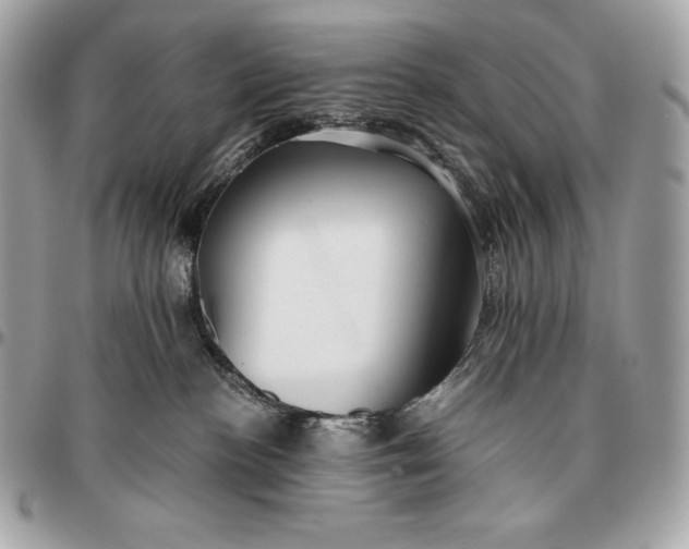 X0000096460188200802071842