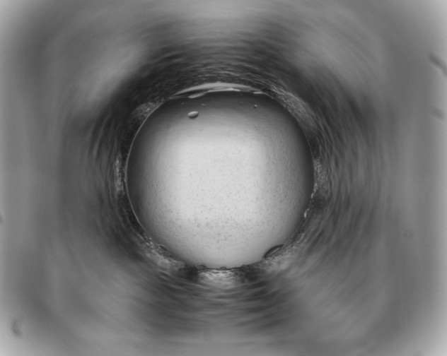 X0000096460189200802071842