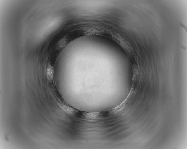 X0000096460191200802071842