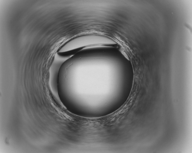X0000096460193200802071841
