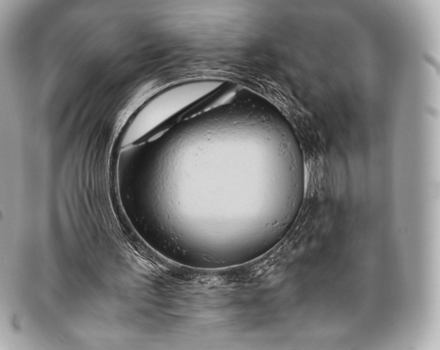 X0000096460195200802071841
