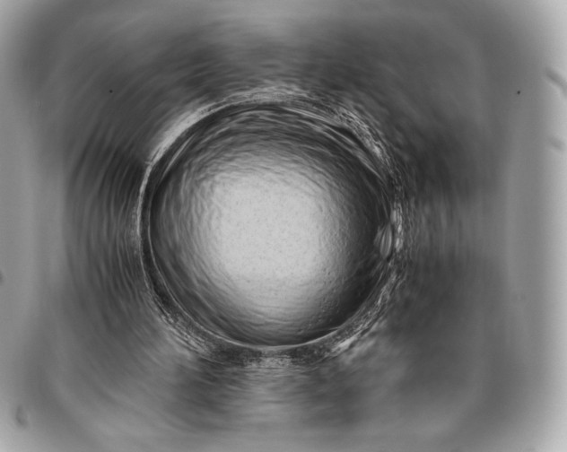 X0000096460196200802071841