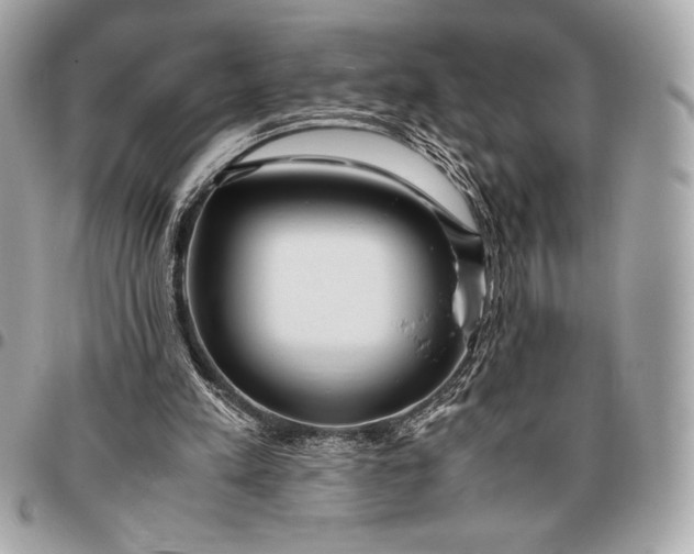 X0000096460197200802071841