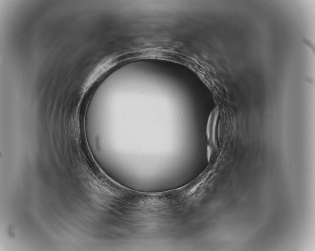 X0000096460198200802071841