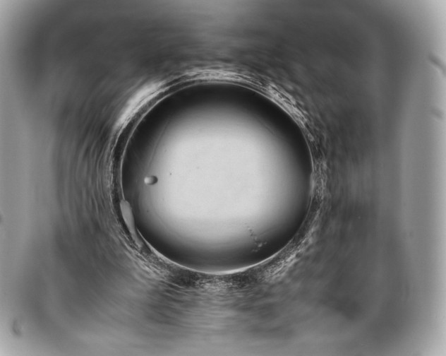 X0000096460199200802071841