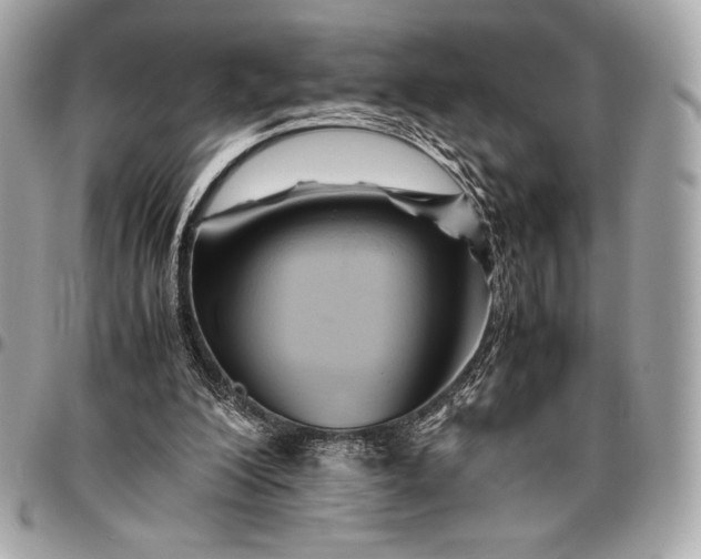 X0000096460200200802071841