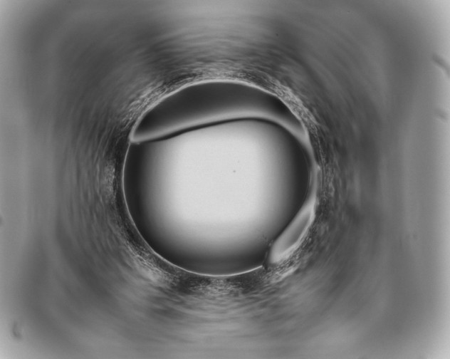 X0000096460201200802071841