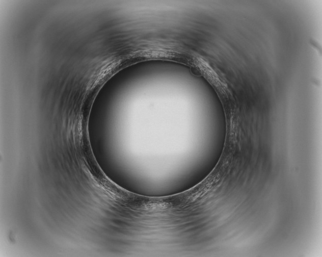 X0000096460202200802071841