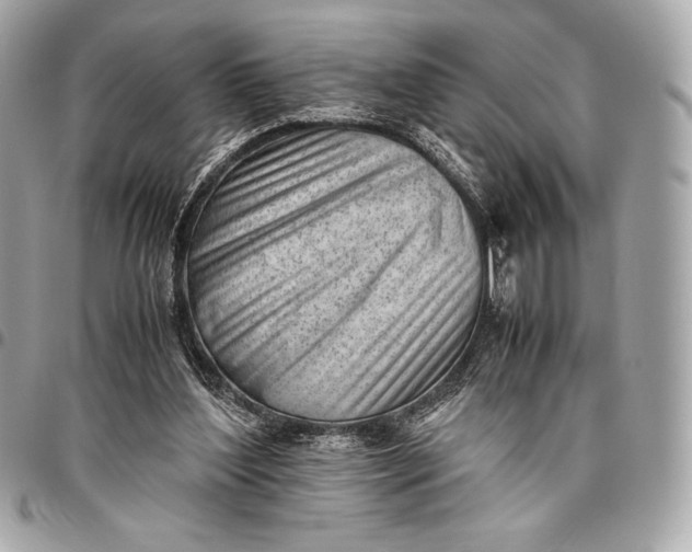 X0000096460204200802071841