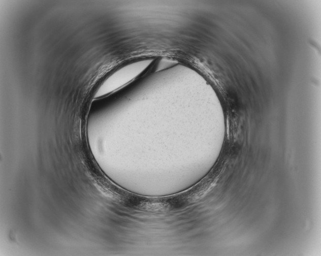 X0000096460205200802071841