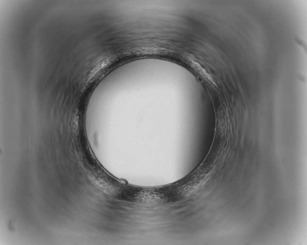 X0000096460207200802071841