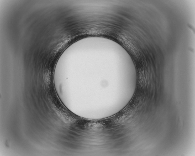 X0000096460208200802071841