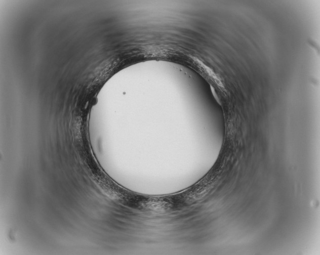 X0000096460209200802071841
