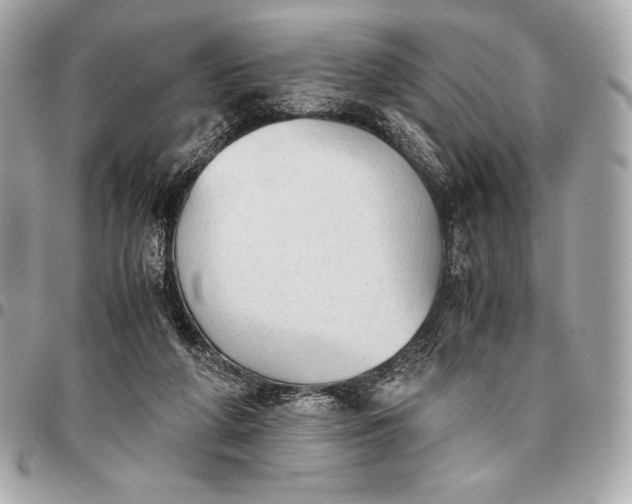 X0000096460210200802071841