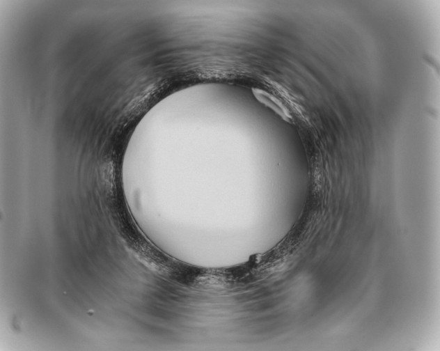X0000096460211200802071841