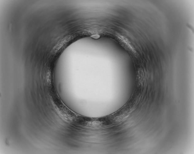 X0000096460212200802071841
