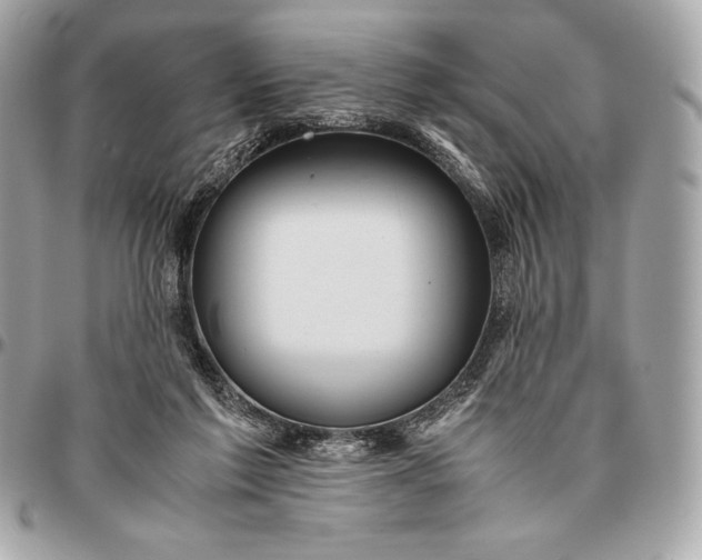 X0000096460213200802071841