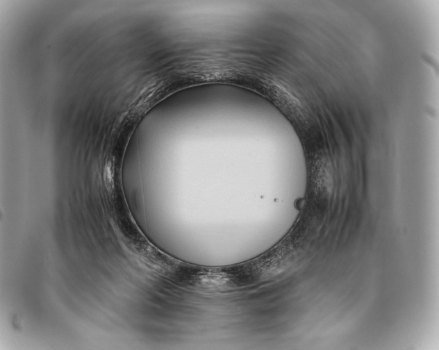 X0000096460214200802071841