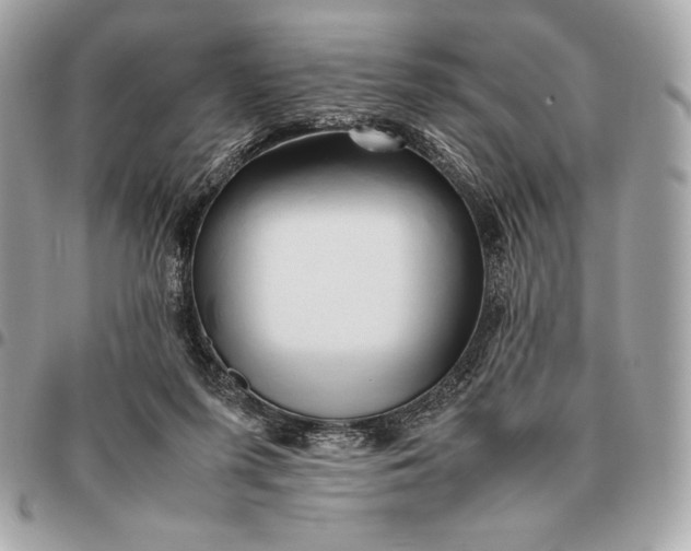 X0000096460215200802071841