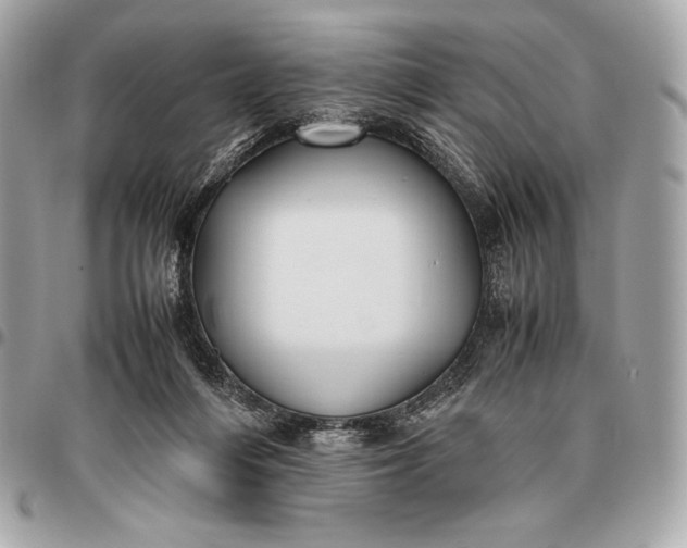X0000096460216200802071841