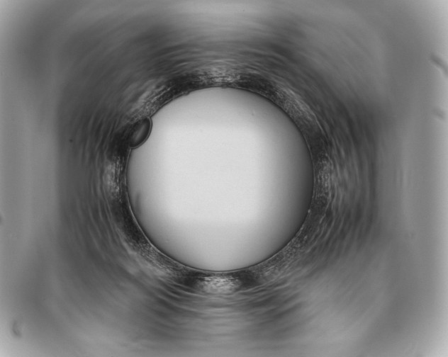 X0000096460218200802071841