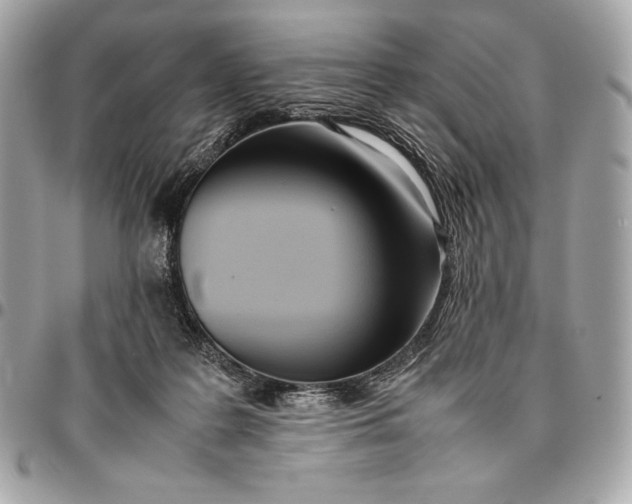 X0000096460219200802071841