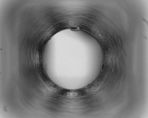 X0000096460220200802071841