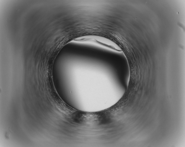 X0000096460221200802071841
