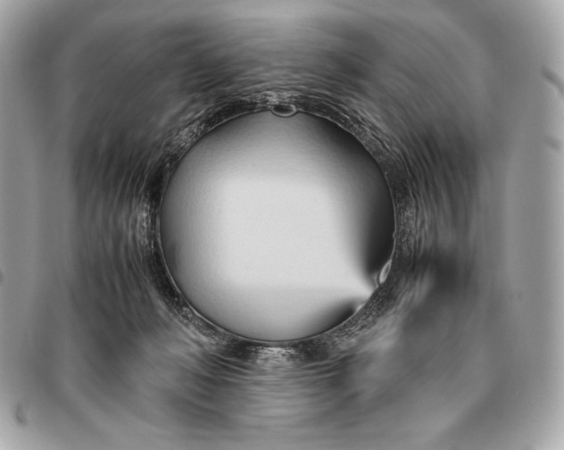 X0000096460222200802071841