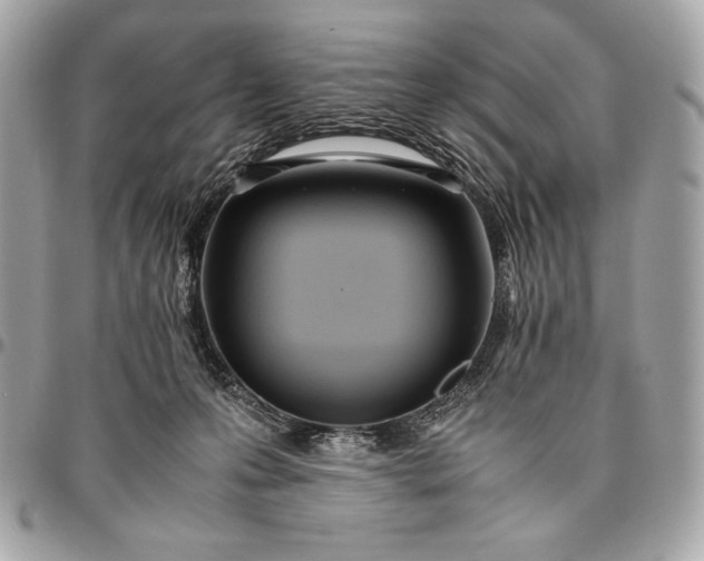 X0000096460223200802071841