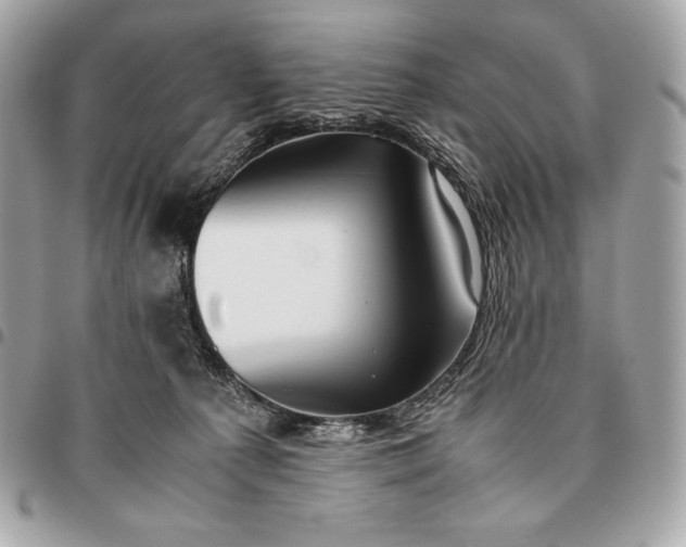 X0000096460225200802071841