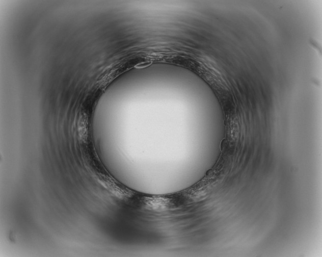 X0000096460226200802071841