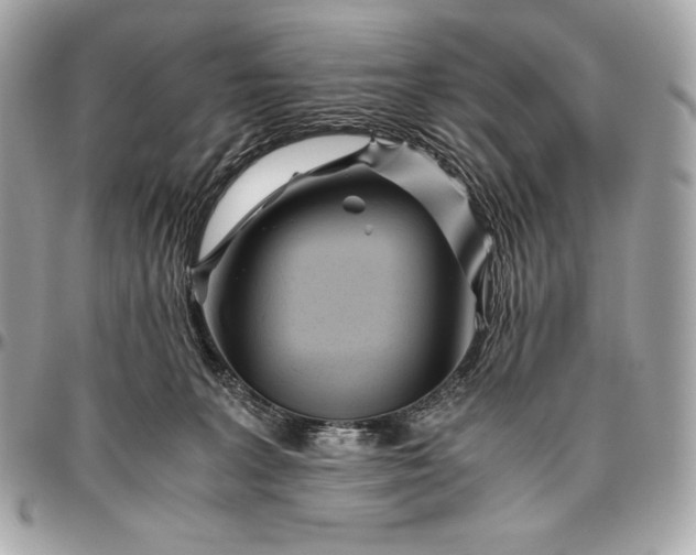 X0000096460227200802071841