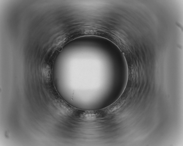 X0000096460228200802071841