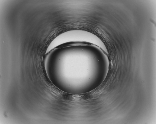 X0000096460229200802071841