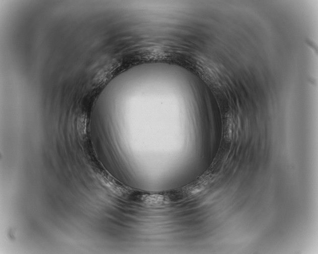 X0000096460230200802071841