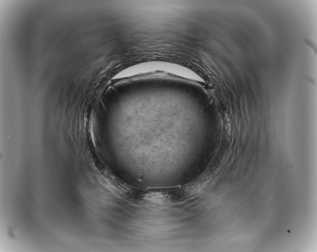 X0000096460231200802071841
