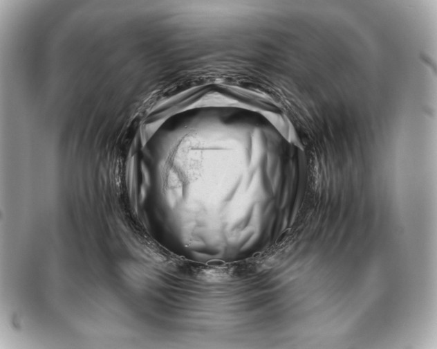 X0000096460232200802071841
