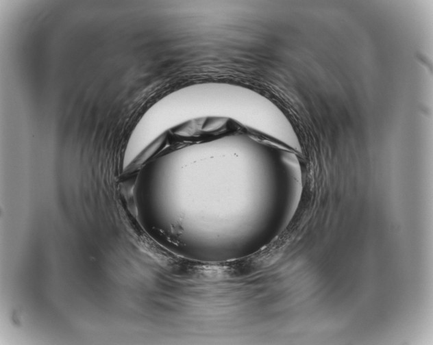 X0000096460233200802071841