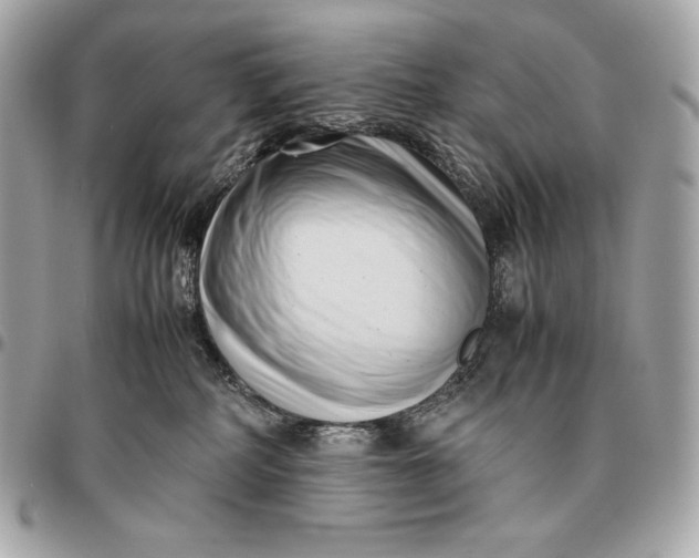 X0000096460234200802071841
