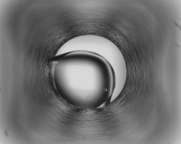 X0000096460235200802071841