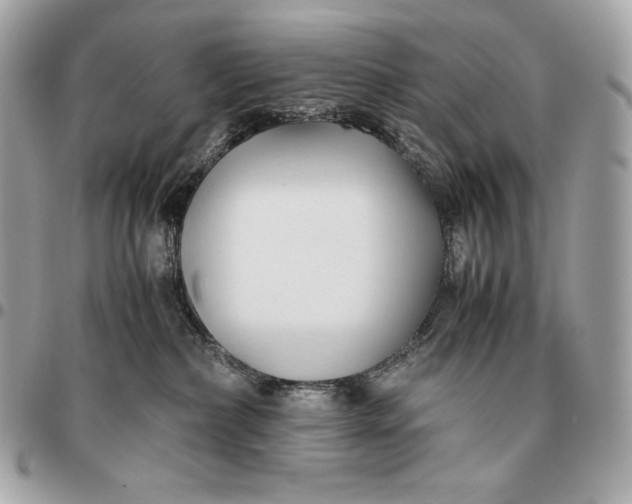 X0000096460236200802071841