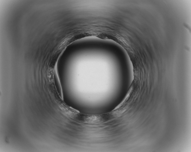 X0000096460237200802071841
