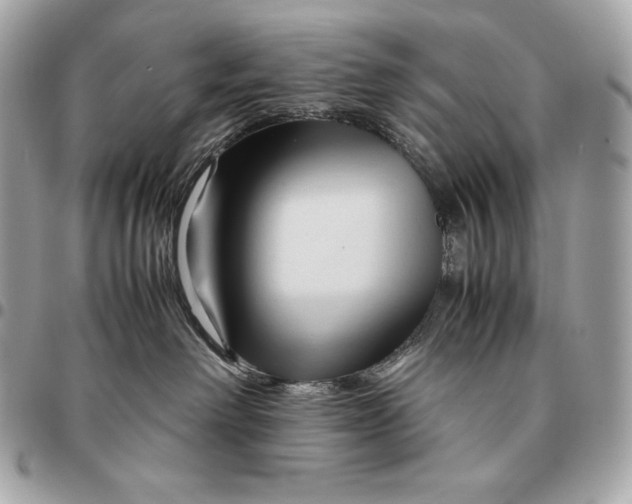 X0000096460238200802071841